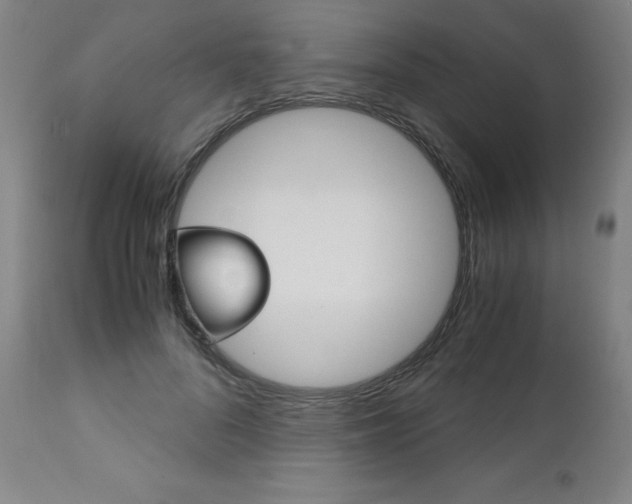 X0000113140696200909040958