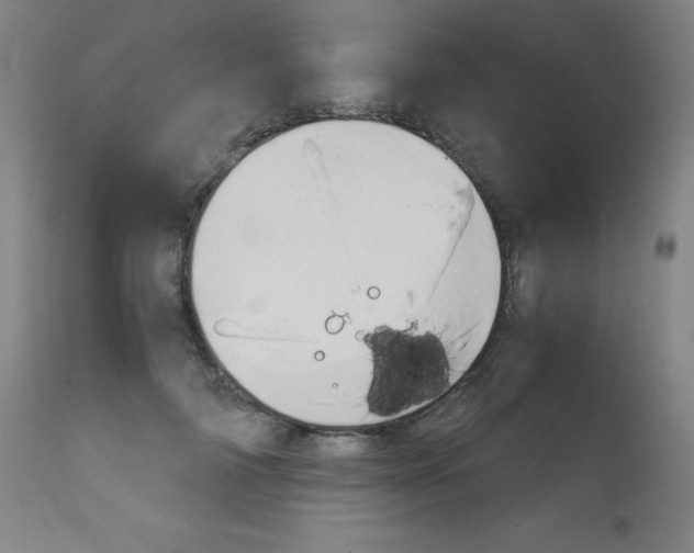 X0000113140698200909040958