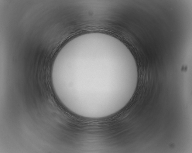 X0000113140700200909040958
