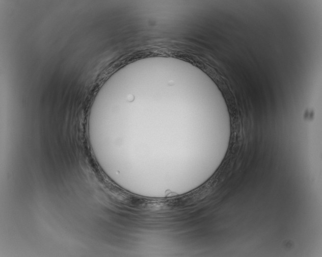 X0000113140702200909040957