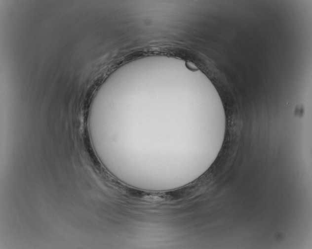 X0000113140703200909040957