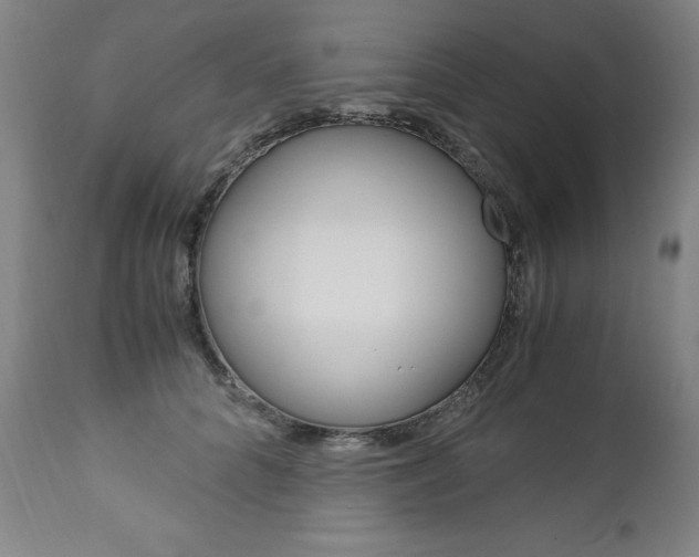 X0000113140704200909040957