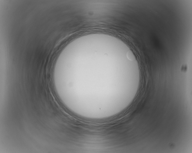 X0000113140705200909040957