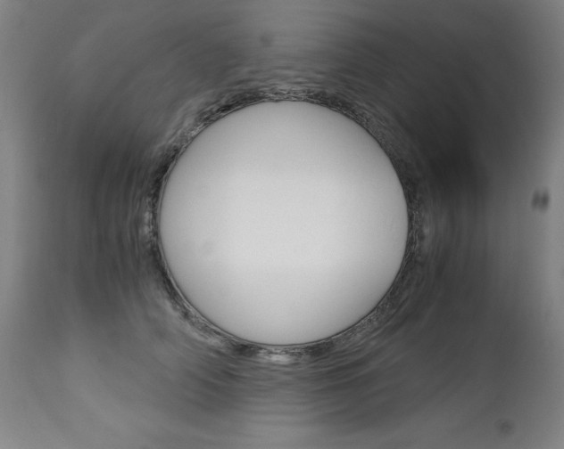 X0000113140706200909040957