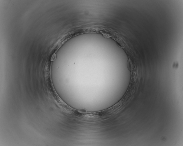 X0000113140708200909040957