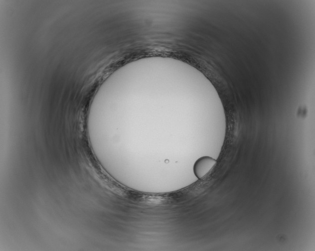 X0000113140710200909040957