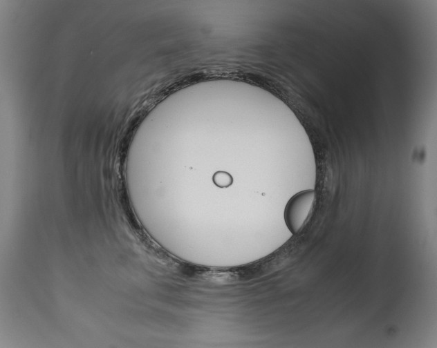 X0000113140711200909040957