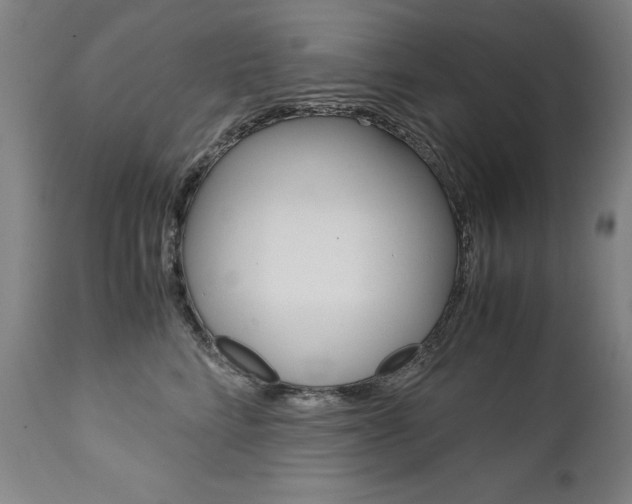 X0000113140712200909040957