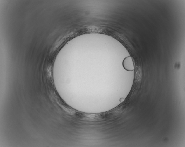 X0000113140713200909040957