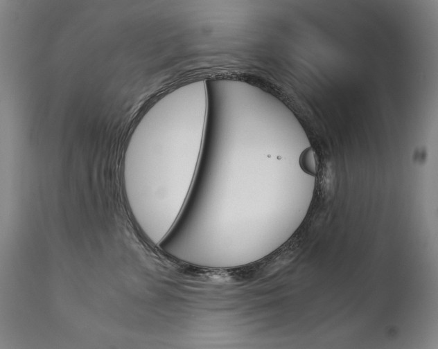 X0000113140715200909040957