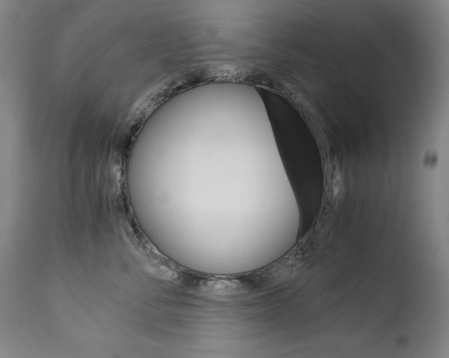 X0000113140716200909040957