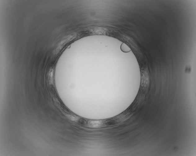 X0000113140717200909040957