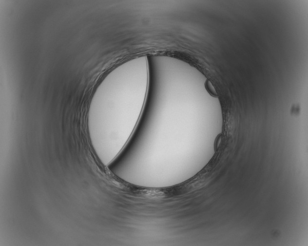 X0000113140719200909040957