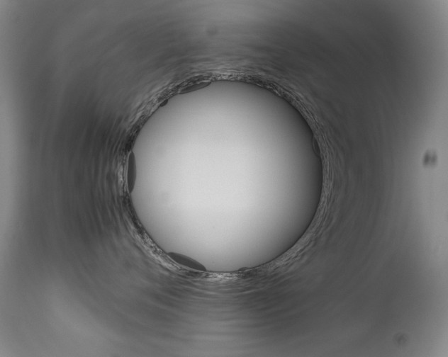 X0000113140720200909040957