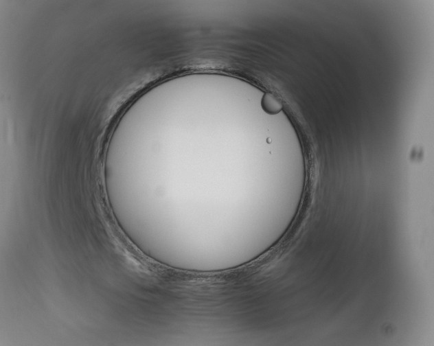 X0000113140721200909040957
