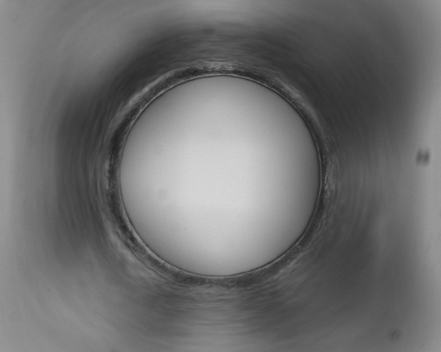 X0000113140722200909040957