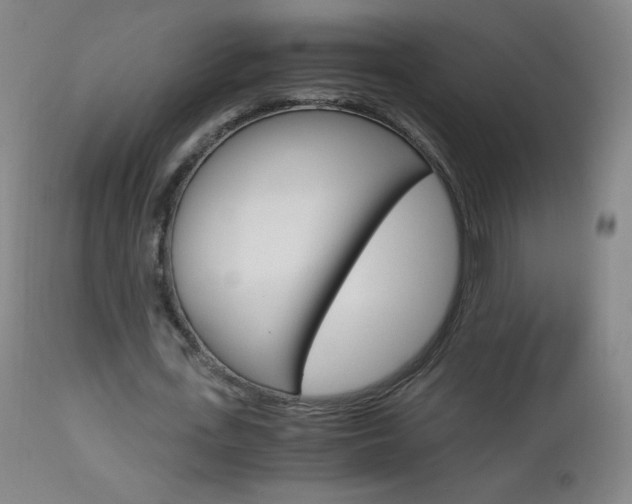 X0000113140723200909040957