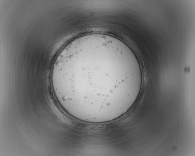 X0000113140725200909040957