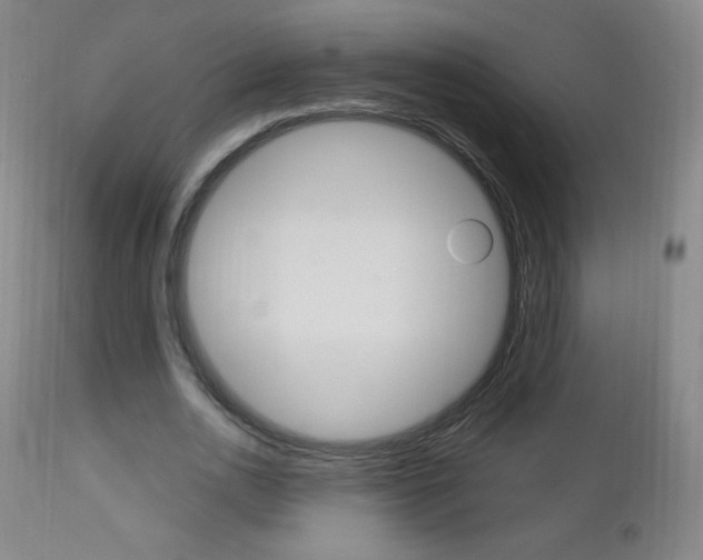X0000113140726200909040957