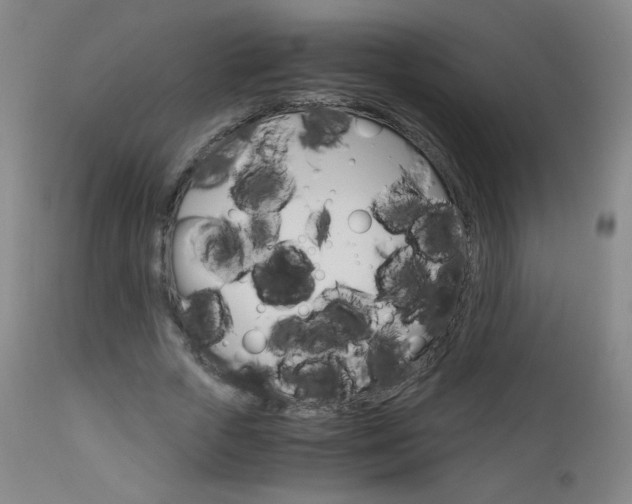 X0000113140729200909040957