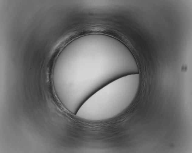 X0000113140731200909040957