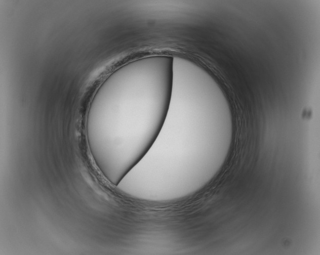 X0000113140732200909040957