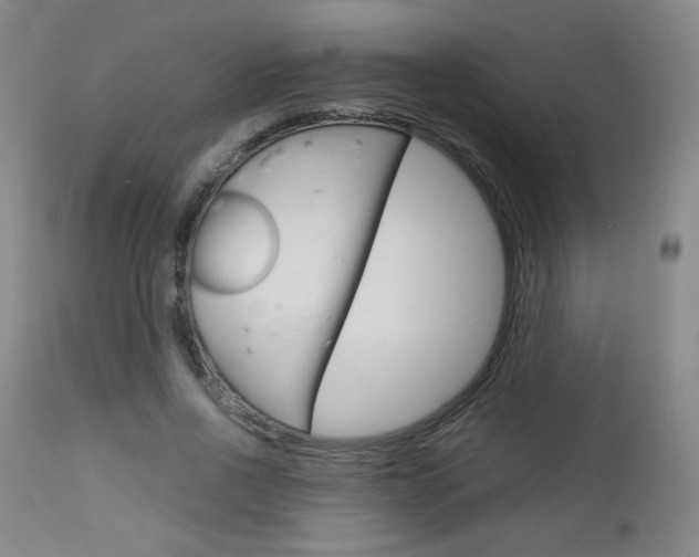 X0000113140734200909040957