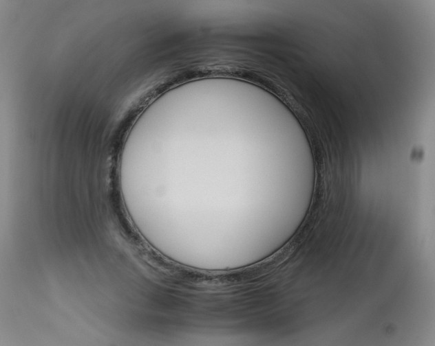 X0000113140735200909040957