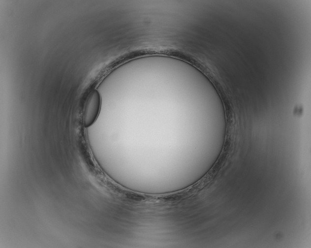 X0000113140736200909040957