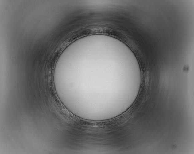 X0000113140737200909040957