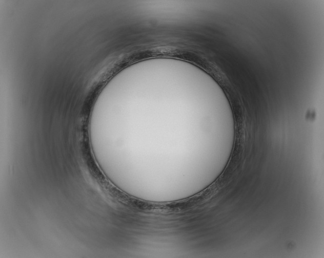 X0000113140738200909040957