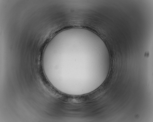 X0000113140739200909040957