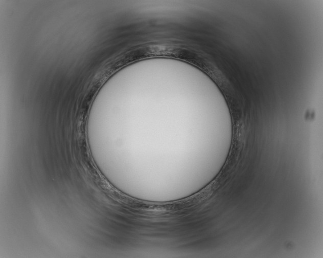 X0000113140741200909040957