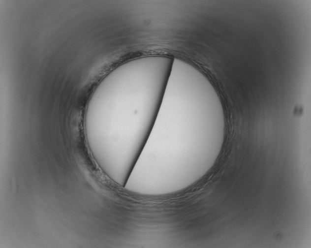 X0000113140742200909040957