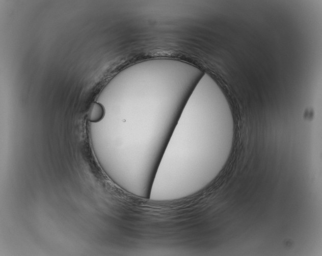 X0000113140743200909040957