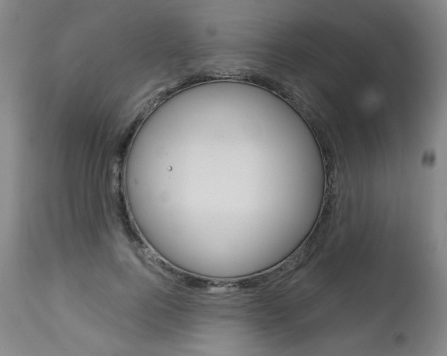 X0000113140744200909040957