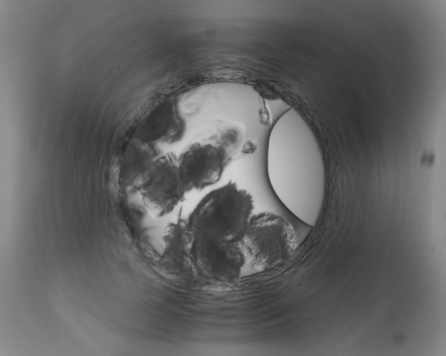 X0000113140745200909040957