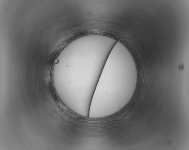 X0000113140746200909040957