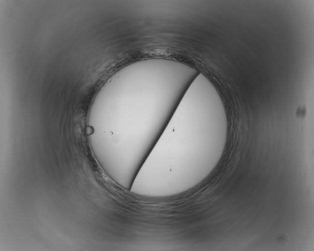 X0000113140747200909040957