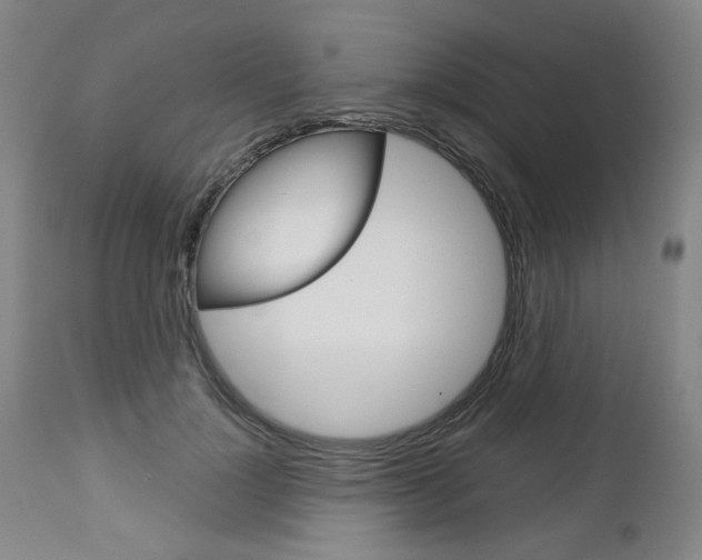 X0000113140748200909040957