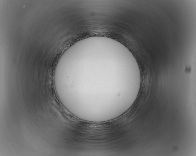 X0000113140749200909040957