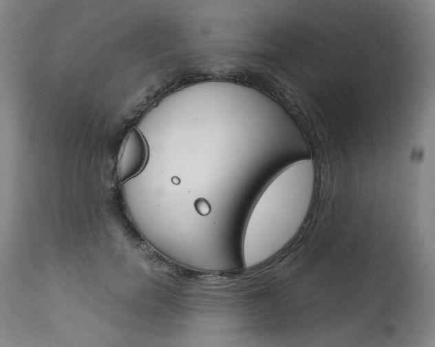 X0000113140750200909040957