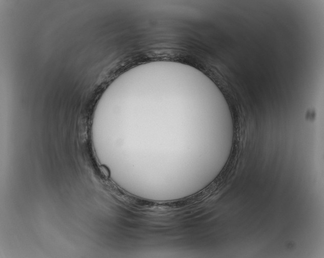 X0000113140751200909040957