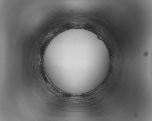 X0000113140752200909040957