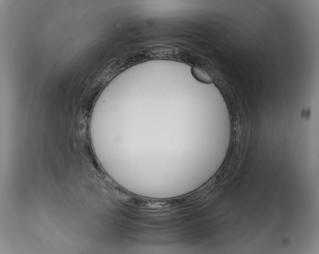 X0000113140753200909040957