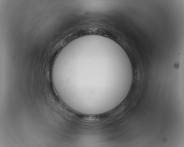 X0000113140754200909040957
