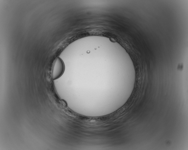 X0000113140755200909040957