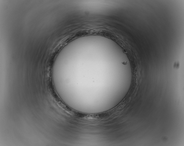 X0000113140756200909040957
