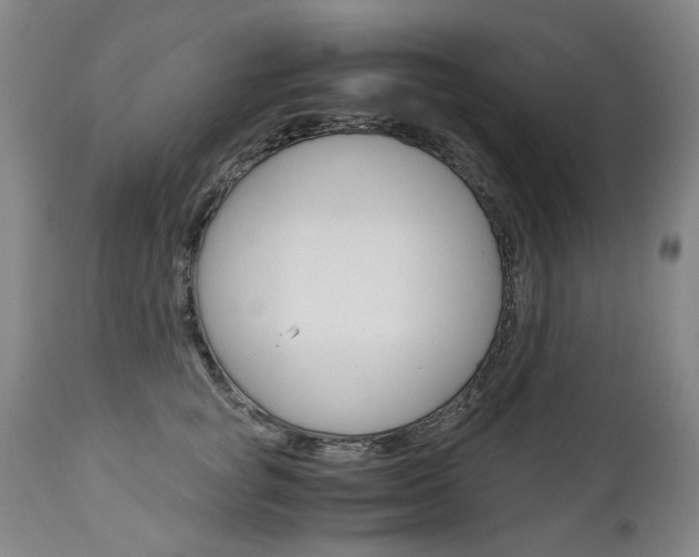 X0000113140757200909040957