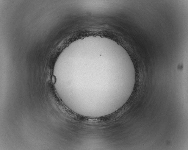 X0000113140758200909040957